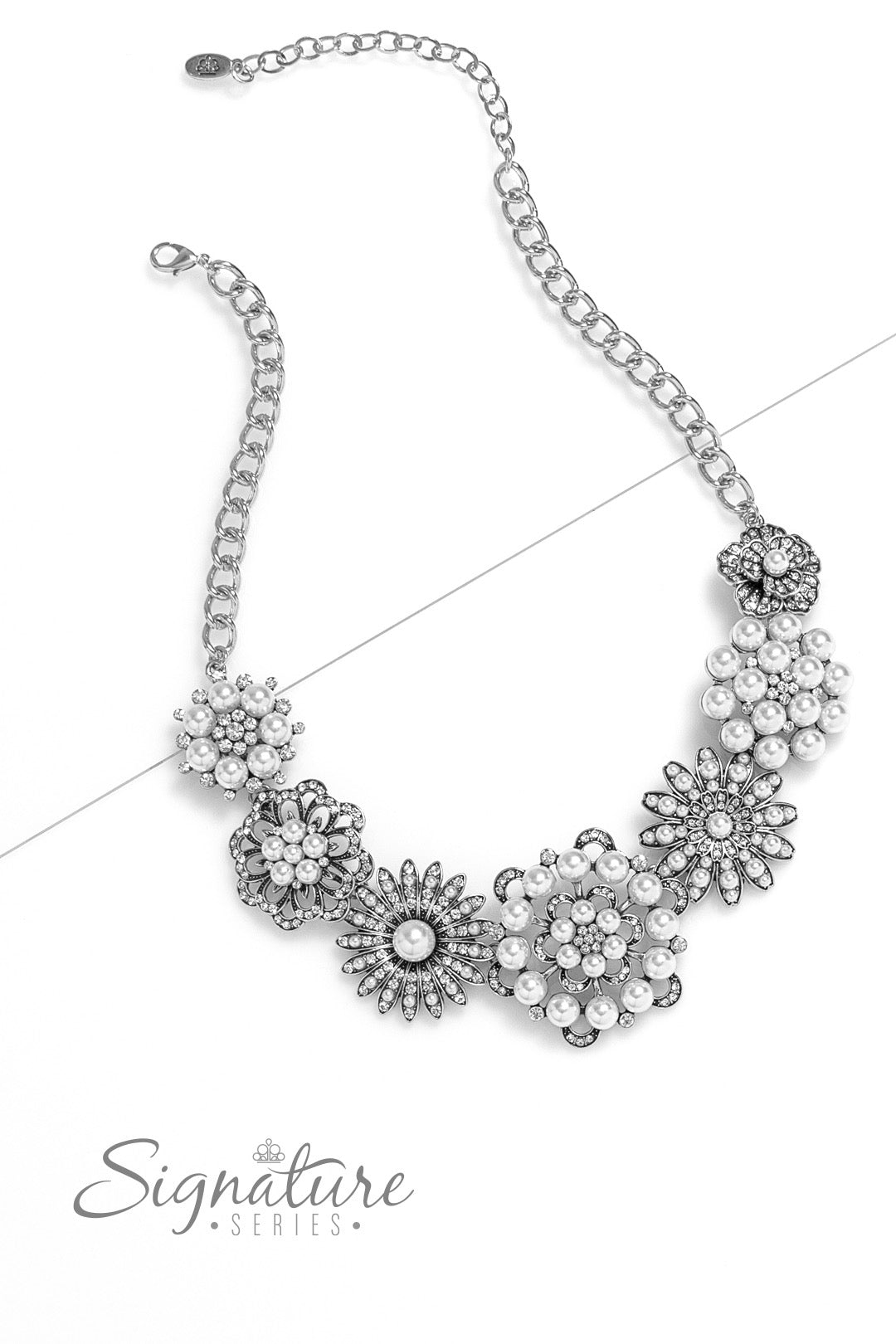 Paparazzi The Raven-Silver Necklace Z2307