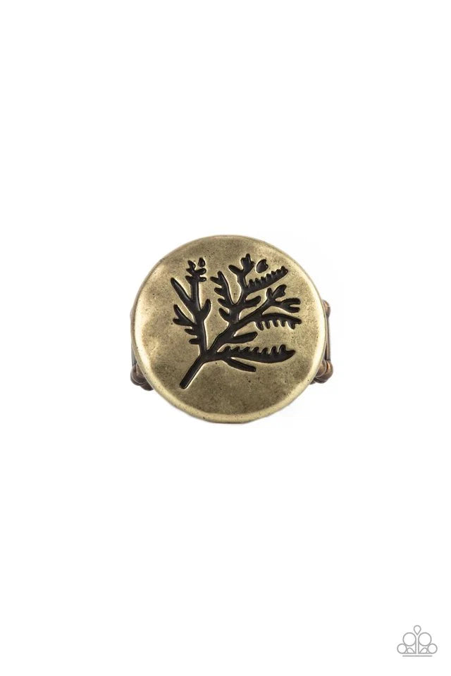 Paparazzi Ring ~ Branched Out Beauty - Brass